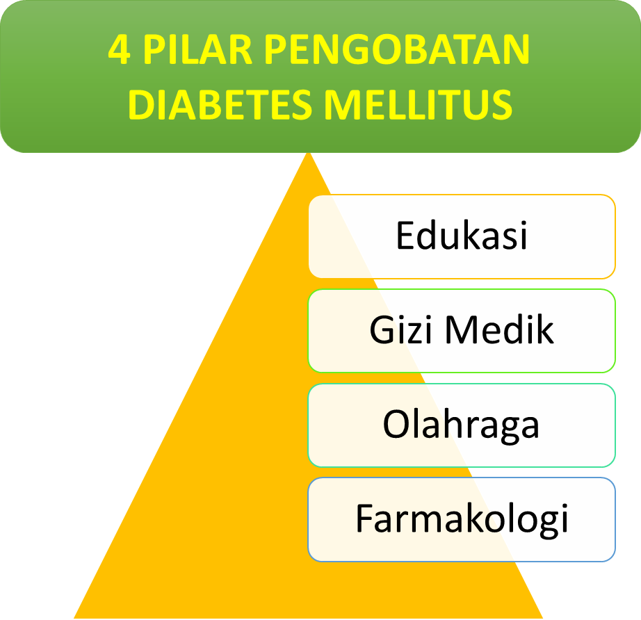 Pengobatan Diabetes Melitus Homecare24